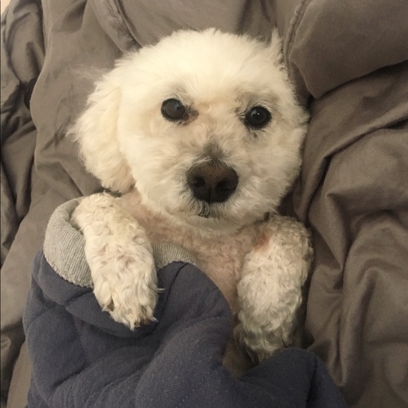 Meet the Posher. Stefanie 🐥💕 - Picture 3 of 6